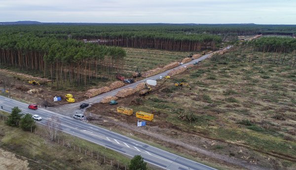 Čiastočne vyrúbaný les neďaleko Berlína, kde chce postaviť Tesla fabriku. Foto - TASR/AP