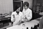 Vedúca závodného laboratória Ing. Ľudmila Ružičková a laborantka Erika Paverová pri jednej zo skúšok overenia kvality konzerv vyrobených na novom modernom zariadení Rotomat. Jednoznačne potvrdili lepšiu chuť, farbu a rovnomernejšie sterilizovanie výrobkov v rotomatoch | Foto - archív TASR, autor M. Vojtek, 25. apríla 1972