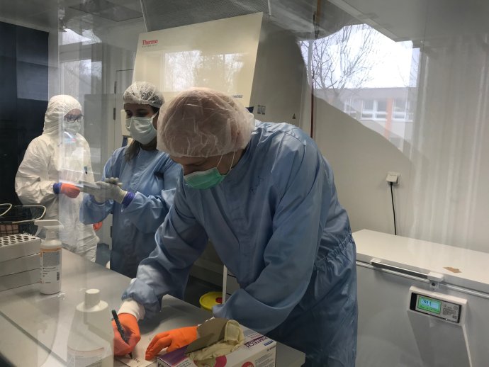 V laboratóriu SAV, kde prebieha testovanie vzoriek na nový koronavírus. Zdroj – SAV