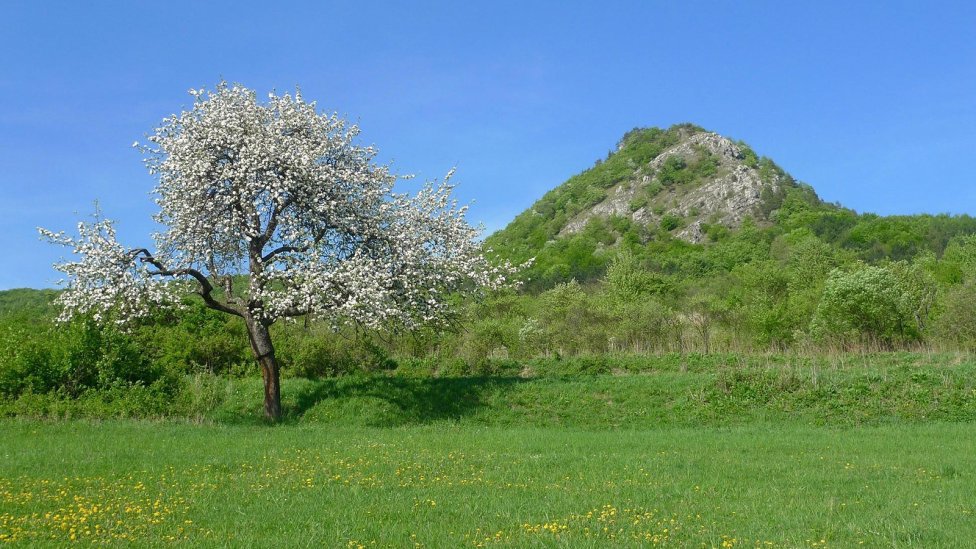 Omšenská Baba, Foto – Soňa Mäkká