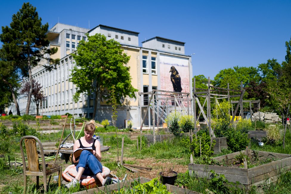 Za budovou Novej Cvernovky vznikla komunitná záhrada. Foto N - Vladimír Šimíček
