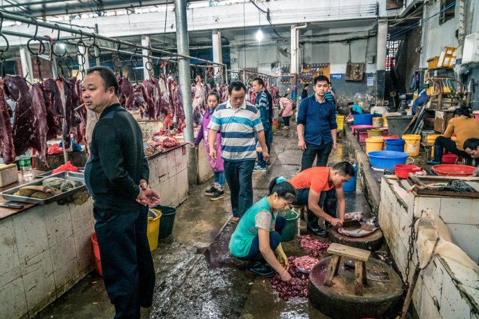 Mokrý trh v Šanghaji. Foto - Pavel Dvořák