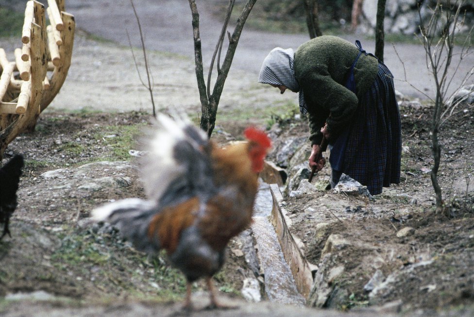 Foto N – Andrej Bán