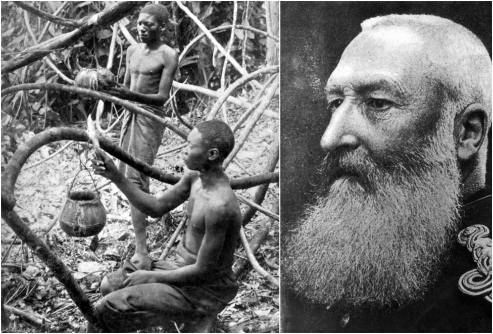 Kráľ Leopold II. bohatol na zbere kaučuku v Kongu, na ktorý využíval miestnych obyvateľov. Foto - Britannica