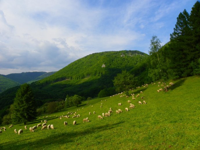 Masív Šarkanice v NP Muránska planina. V bezzásahovej zóne má byť 50 % parku, v ďalších zónach sa má hospodáriť. Foto - Tomáš Trstenský