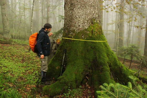 Pavol Polák pri mapovaní pralesov na Slovensku. ©Marián Jasík, o.z. Prales