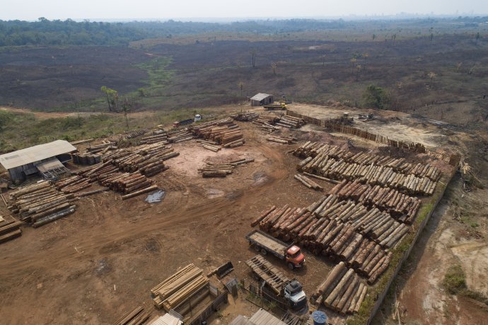 Na snímke ťažba dreva v septembri 2019. Ilustračné foto - TASR/AP