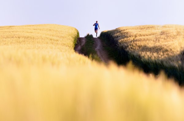Princíp chudnutia je triviálny, so spaľovaním tukov pri behu je to komplikovanejšie