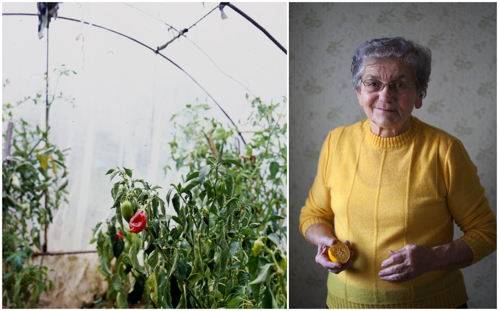Emília Sitová a jej záhrada na fotografiách Petra Sita. Foto - Peter Sit