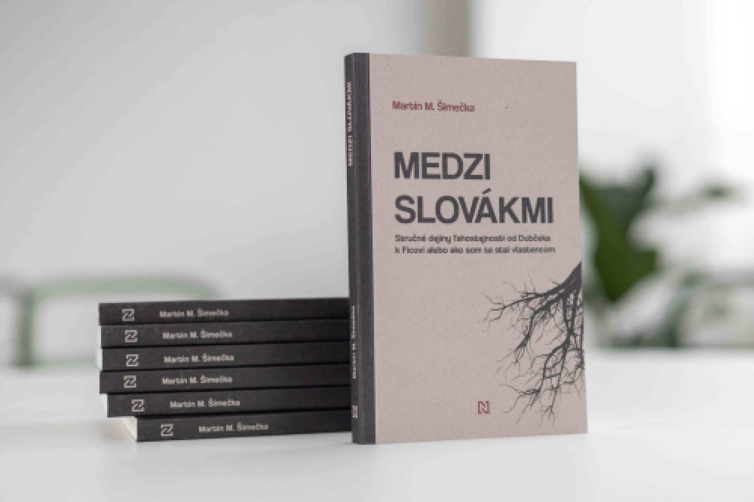 Medzi Slovákmi (Stručné dejiny ľahostajnosti od Dubčeka k Ficovi)