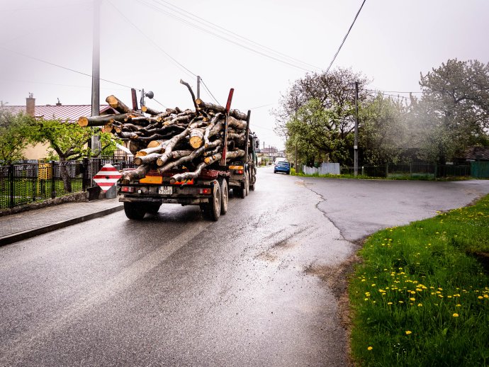 Odvoz dreva. Ilustračné foto N - Tomáš Grečko