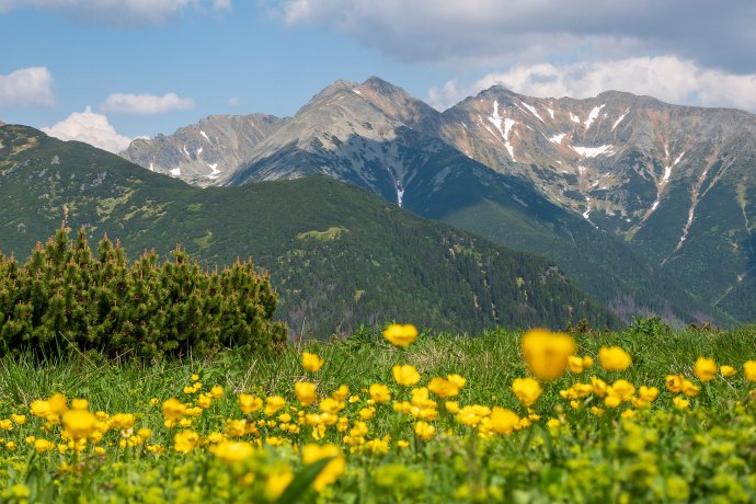 Tatranský národný park. Foto – Ľubomír Mäkký