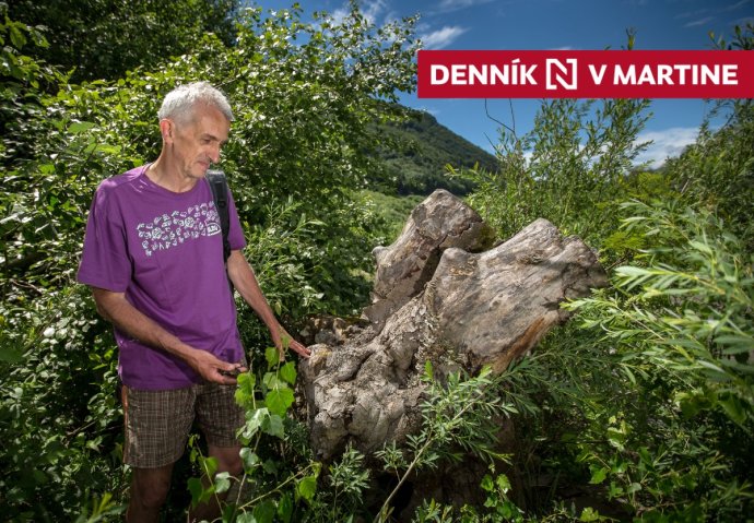 Ján Topercer na brehu Váhu, kde sa príroda spamätáva zo zásahu diaľničiarov. Foto N - Tomáš Benedikovič