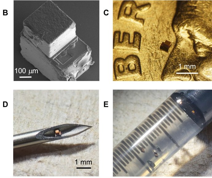 Najmenšie, čo dokážeme - jednoduchý čip na meranie teploty. Foto - ScienceAdvances