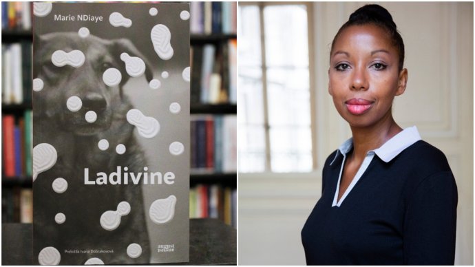 Román Ladivine od francúzskej autorky Marie NDiaye vyšiel v preklade Ivany Dobrakovovej. Foto - Artforum, Francesca Mantovani