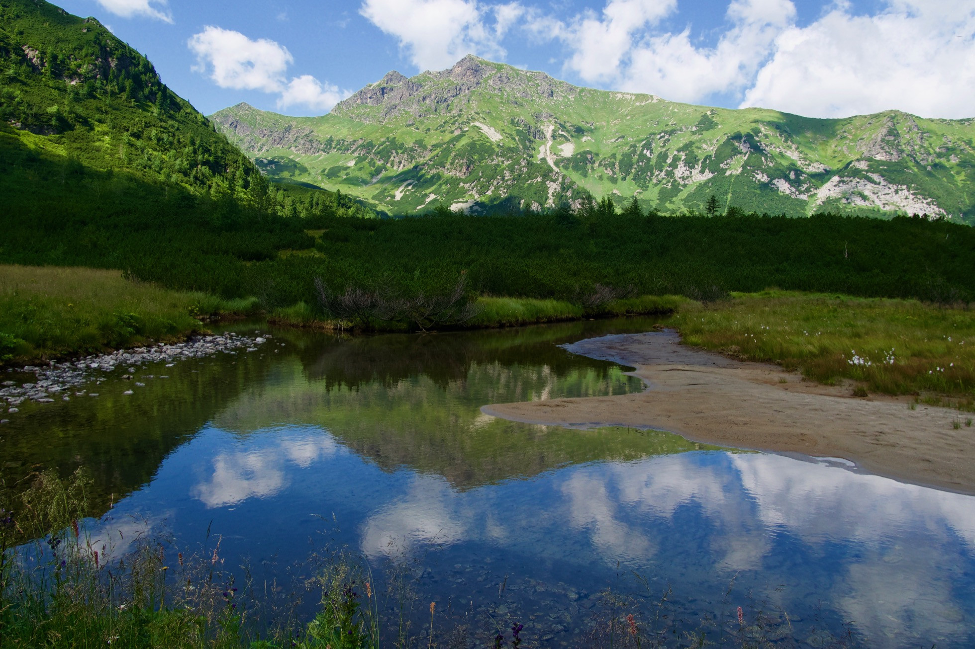V&nbsp;ochrane prírody rušia desiatky pracovných miest. Končia zoológovia, botanici aj strážcovia, pribúdajú poľovní referenti
