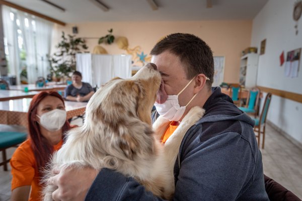 Ako šteňa rozveselí seniorov a&nbsp;hendikepovaných. Myjavské centrum sociálnych služieb neľutuje, že psov povolilo