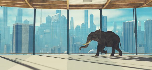 Elephant inside a building in the city . Start up and business concept . This is a 3d render illustration .