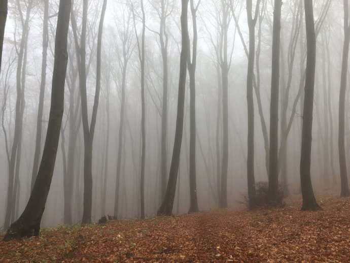Foto - Ján Púček