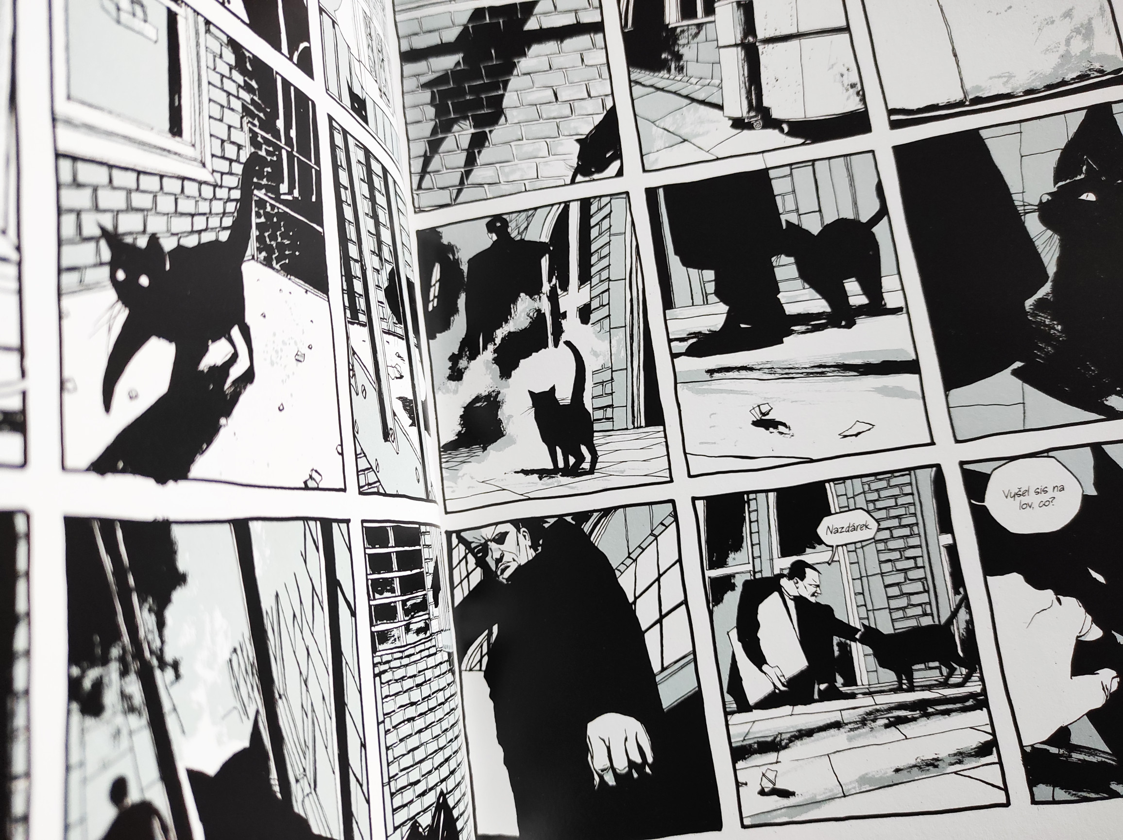 Blog N D. McKean Klece (Komiksový denník 1/2022) — Denník N