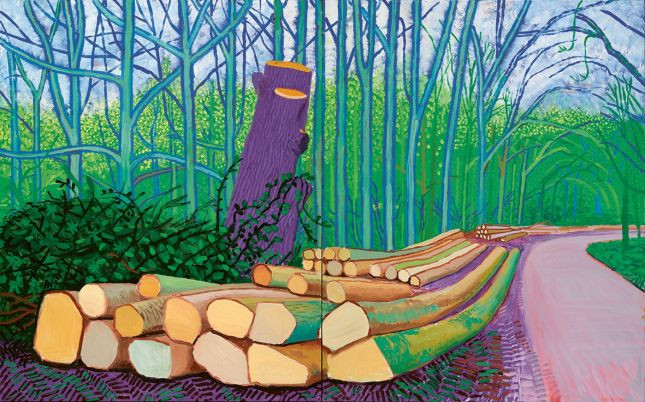 David Hockney. Porúbané stromy na Woldgate 2008