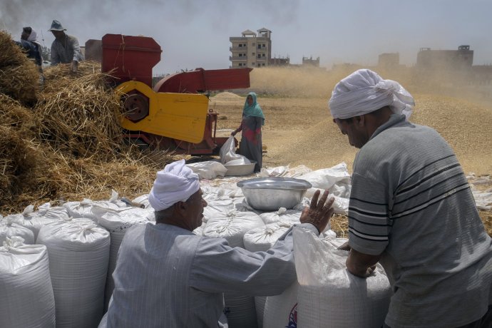 Pšenicu z Ruska a Ukrajiny dováža vo veľkom aj Egypt. Ilustračné foto - TASR/AP