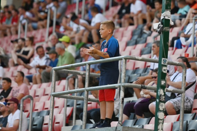Slovenský fanúšik tlieska počas zápasu. Foto - TASR/Lukáš Grinaj