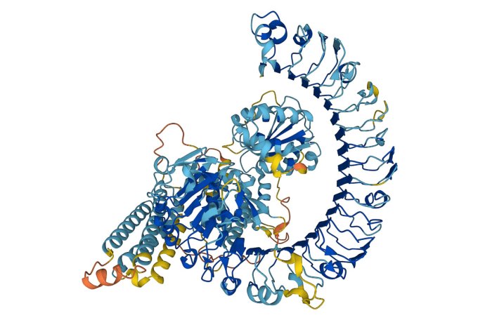 Jedna zo štruktúr proteínu predpovedaná programom AlphaFold. Zdroj – DeepMind/EMBL-EBI