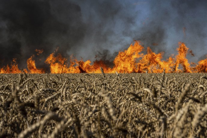 Lángoló gabona Kelet-Ukrajnában. Fotó - TASR/AP