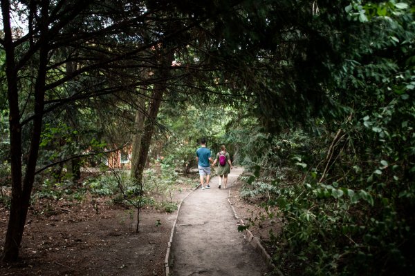 Fotogaléria: Historická Kochova záhrada je otvorená, vyniesli odtiaľ desať ton odpadu a&nbsp;plánujú kompletnú obnovu