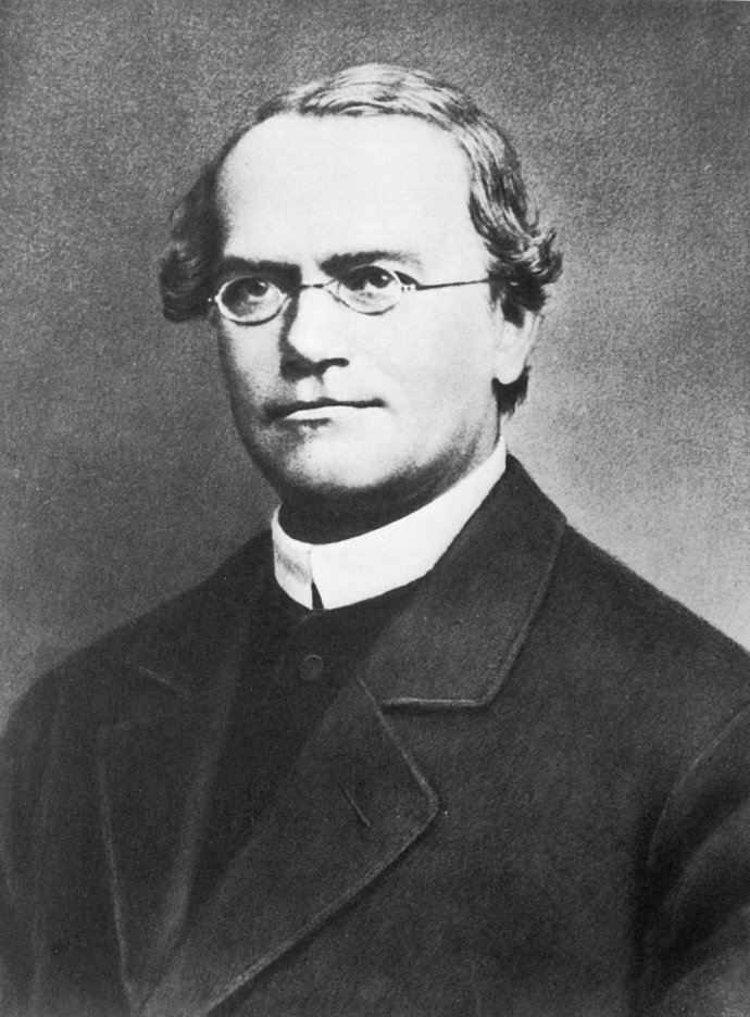 Gregor Mendel. Foto - Wikimedia