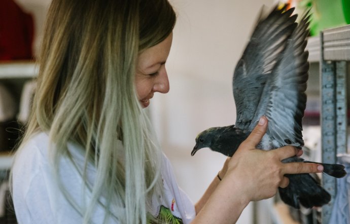 Kateřina Brabencová s holubom. Foto – Holuby v nouzi