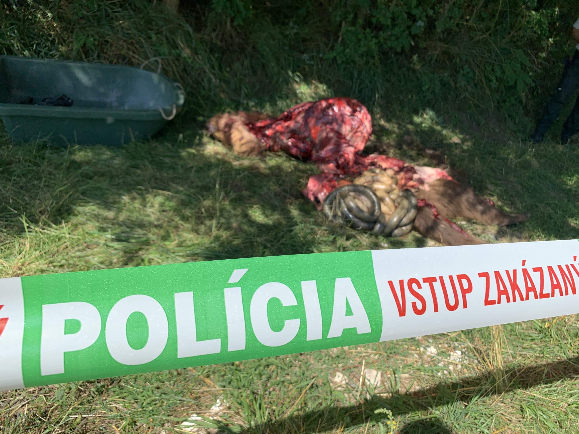 Susko pripravuje novelu Trestného zákona, podľa ktorej by sa páchatelia zločinov proti prírode mohli vyhnúť súdu