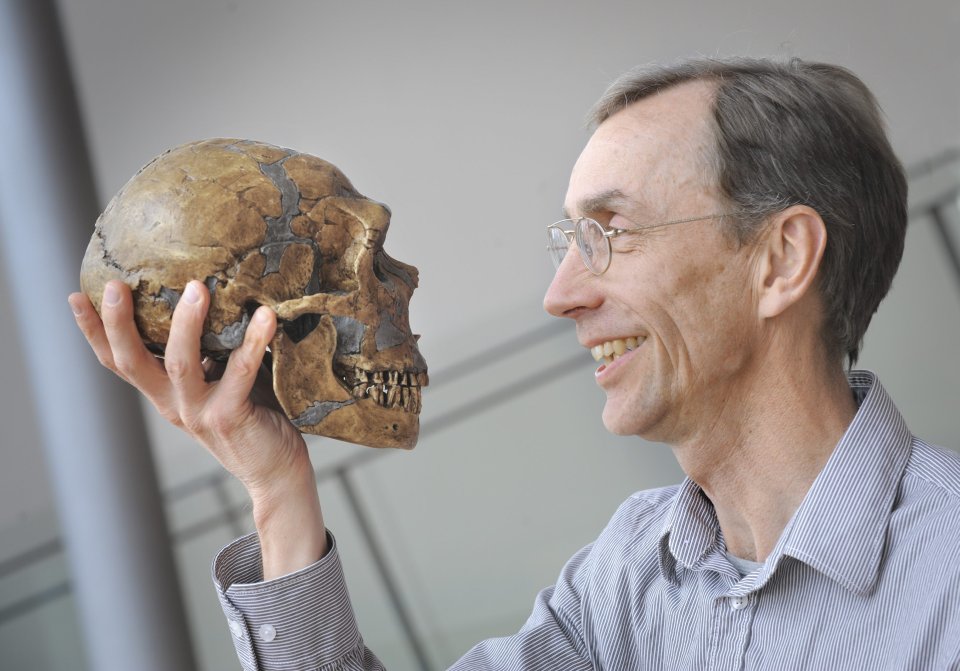Evolučný genetik Svante Pääbo pôsobí v Inštitúte Maxa Plancka pre evolučnú antropológiu v nemeckom Lipsku. Foto – AP
