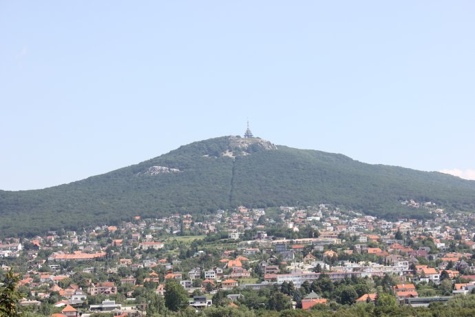 Fotó - Andrzej Otrębski, Wikipedia