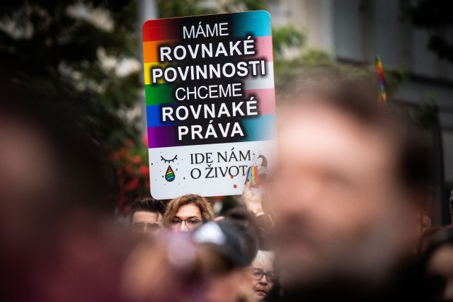 Foto N - Vladimír Šimíček