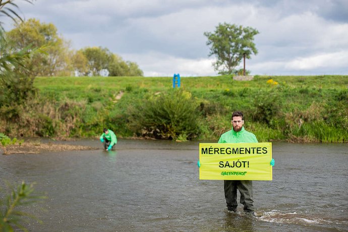 Fotó: Dörgő Zsuzsi / Greenpeace