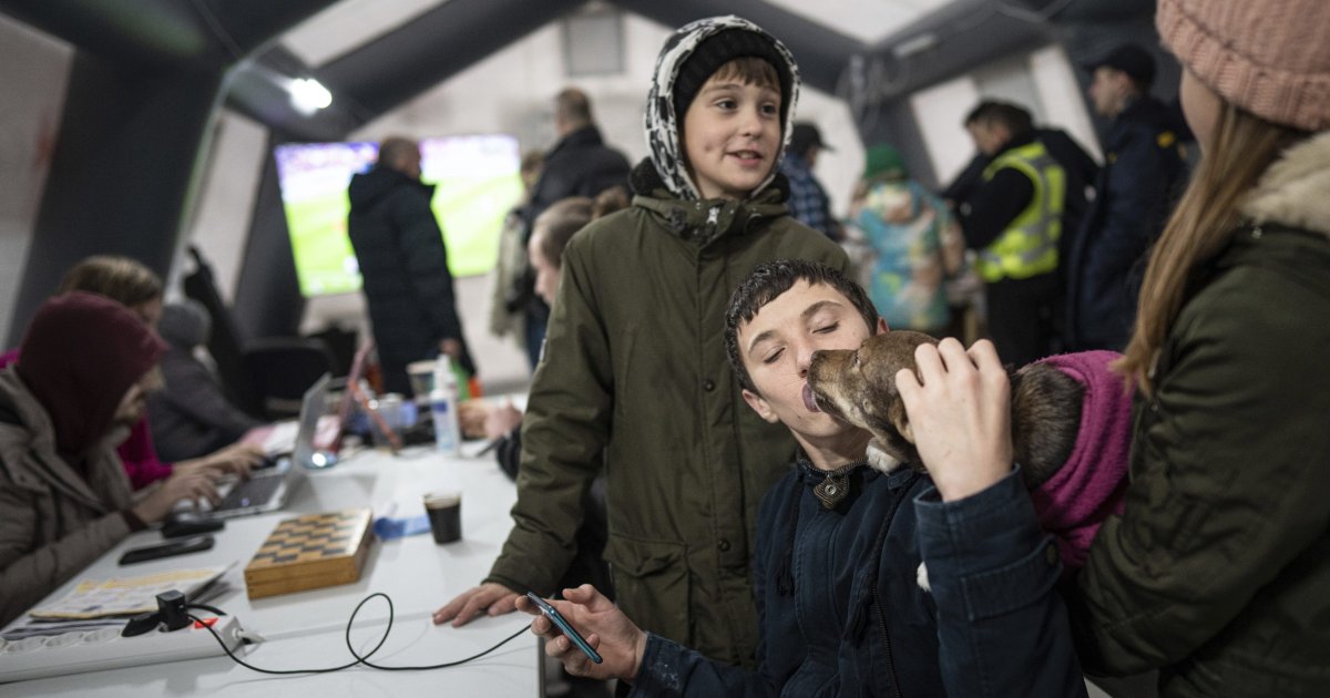 Les stations ukrainiennes de l’indomptable offrent refuge, résilience et divertissement