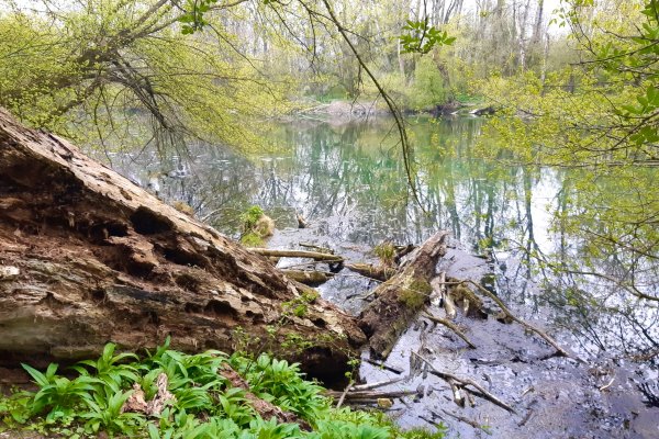 Národný park Podunajsko neobmedzí poľnohospodárov ani poľovníkov. Má chrániť lužné lesy aj pimprlíky