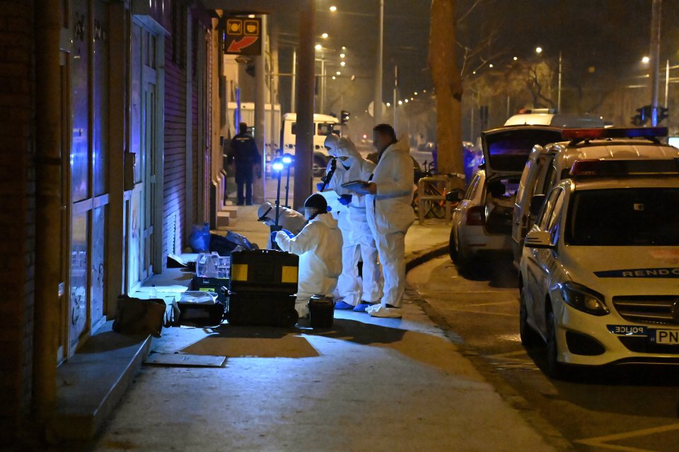 Rendőrt késeltek halálra Újbudán, 2023. január 13-án. Fotó - MTI