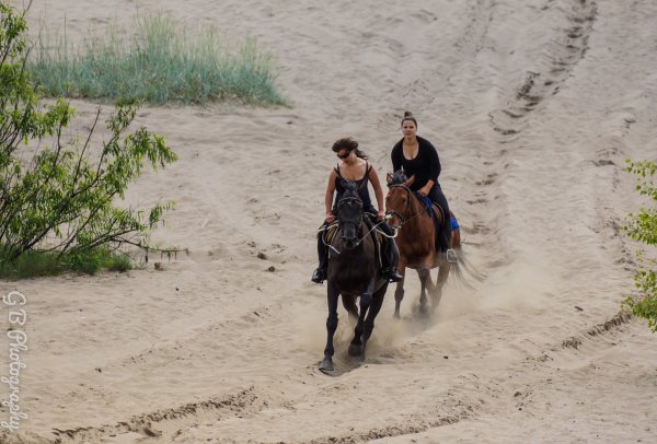 Poliaci rúbali stromy, aby ju zachránili. Najväčšia púšť v&nbsp;Európe leží dve hodiny od hraníc