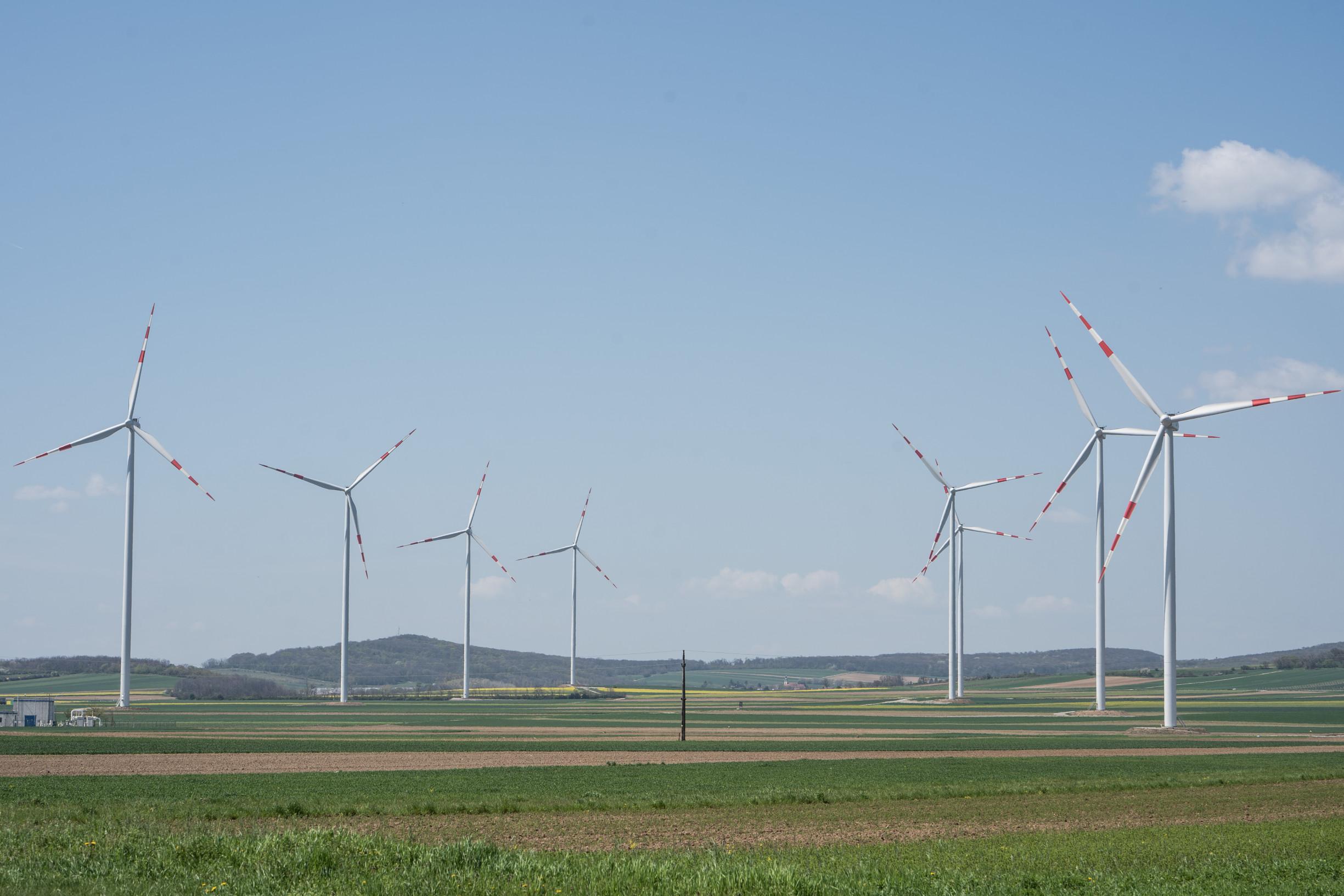 Proti veternému parku pri Nitre bojujú aj konšpirátori. Starostku obviňujú z&nbsp;konfliktu záujmov