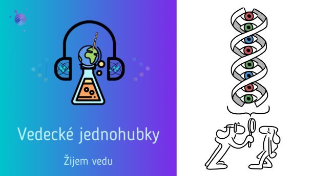 Logo programu Vedecké jednohubky, ktoré pre vás pripravuje občianske združenie Žijem vedu a ilustrácia Michala Jedináka. Michala sledujte na Instagrame @jedinakmichal.