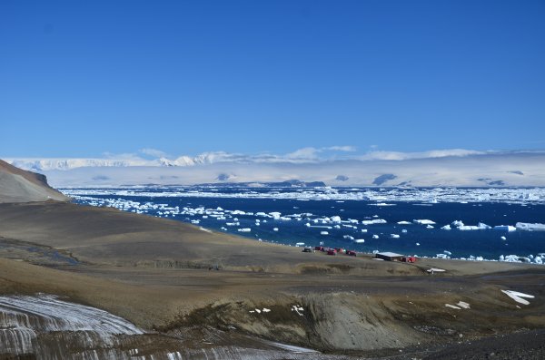 Čo bolo vlani zelené, je teraz žlté a&nbsp;hnedé. Vedec opisuje klimatickú zmenu v&nbsp;Antarktíde