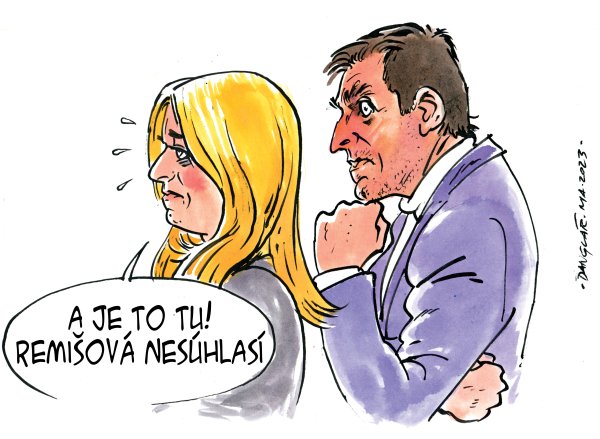 Danglár: Remišová zasahuje