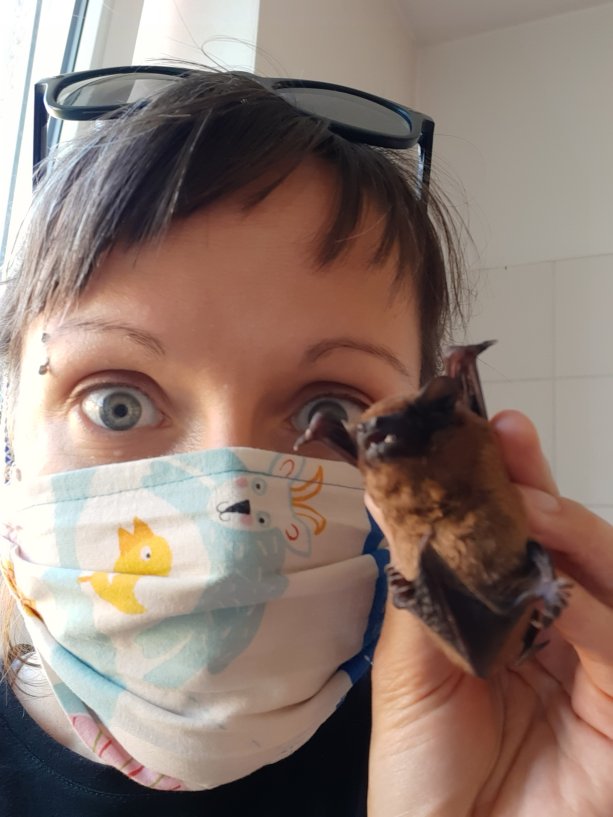 Zoologička Lenka Kissová pri práci s netopiermi, foto z osobného archívu
