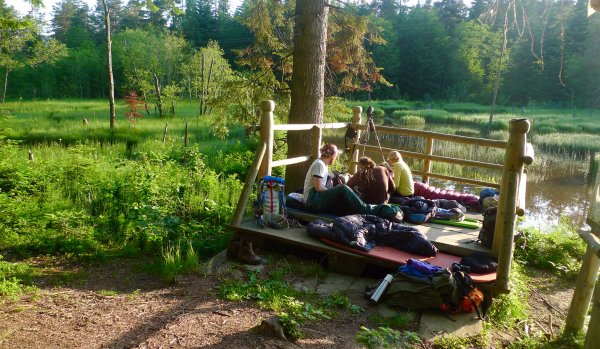 Pobyty v&nbsp;prírode a&nbsp;sprievodcovia v&nbsp;národných parkoch by mohli byť alternatívou k&nbsp;ťažbe dreva