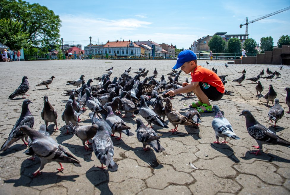 Életkép a hátországból. Fotó - Peter Lázár