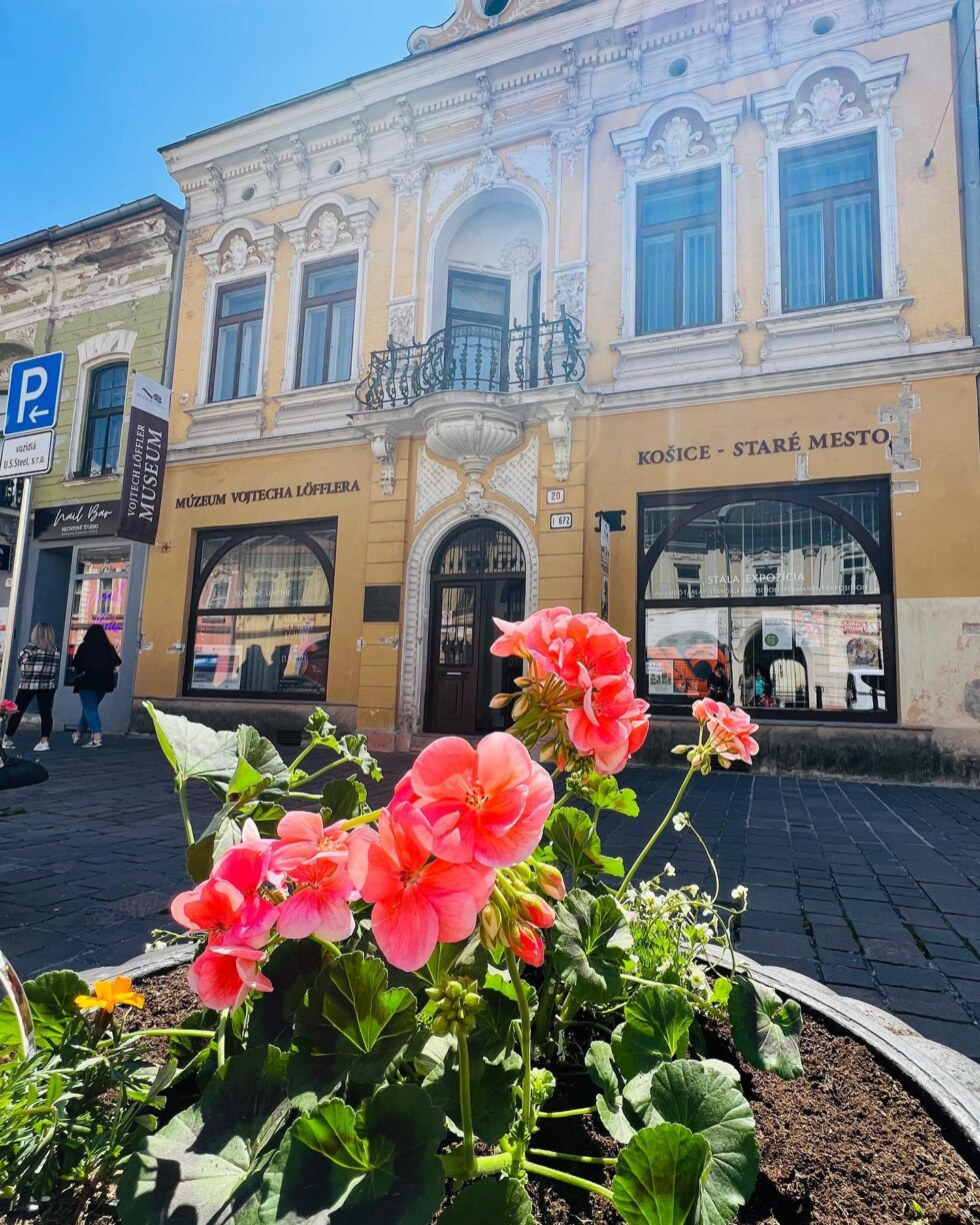 Felmondott Rácz Noémi kassai múzeumigazgató. Szerinte a jelenlegi ...