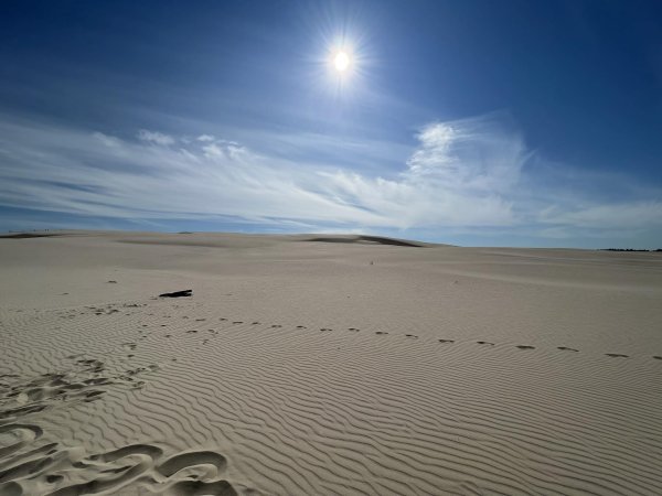 Piesok je tam jemný a&nbsp;duny vysoké. Poľská Sahara leží pri Baltickom mori